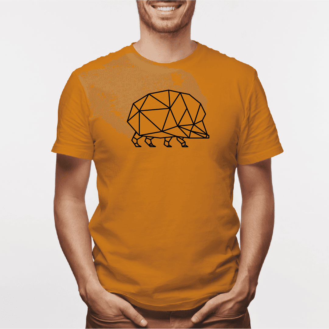 Camisa estampada para hombre  tipo T-shirt Erizo geometrico — foto 4