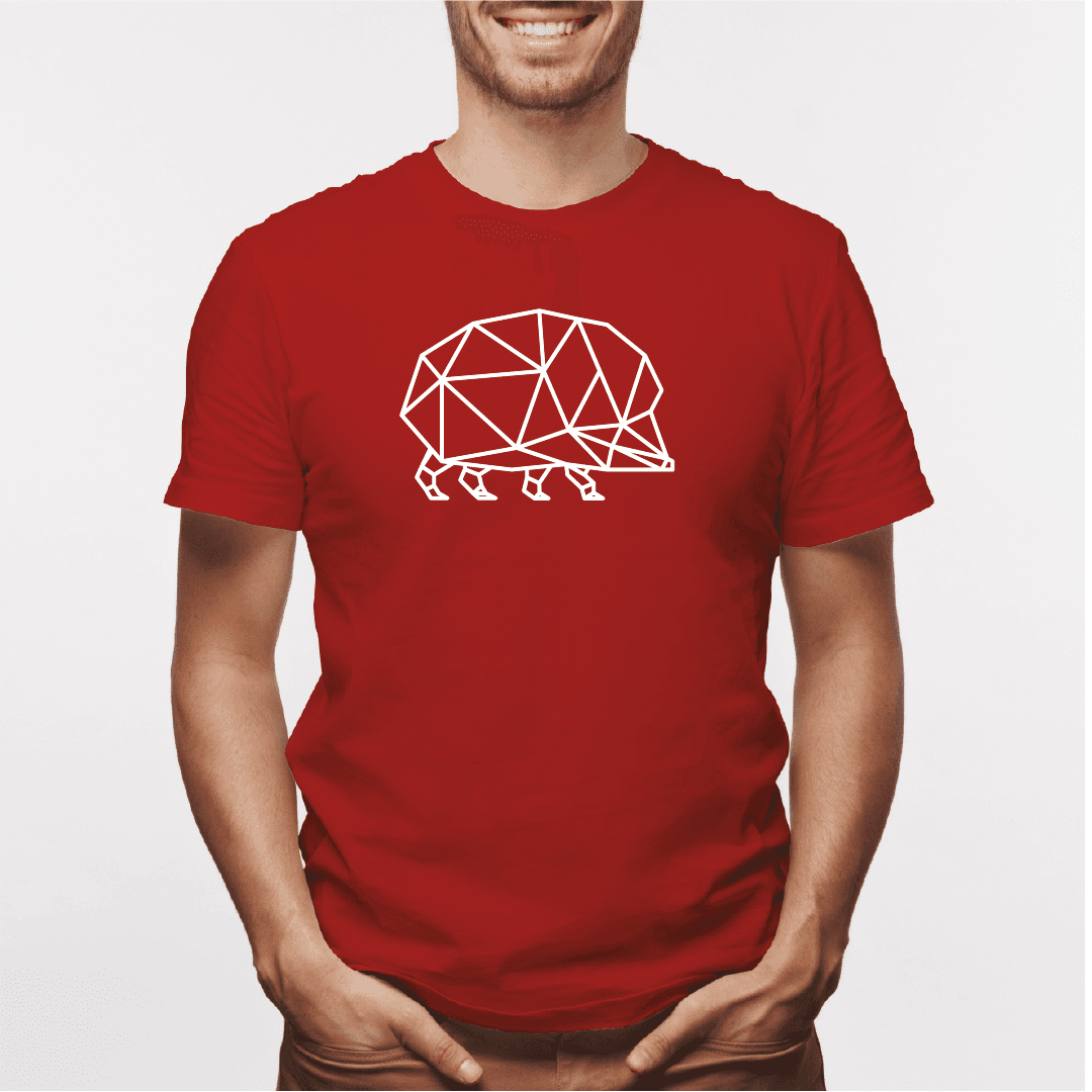 Camisa estampada para hombre  tipo T-shirt Erizo geometrico — foto 2