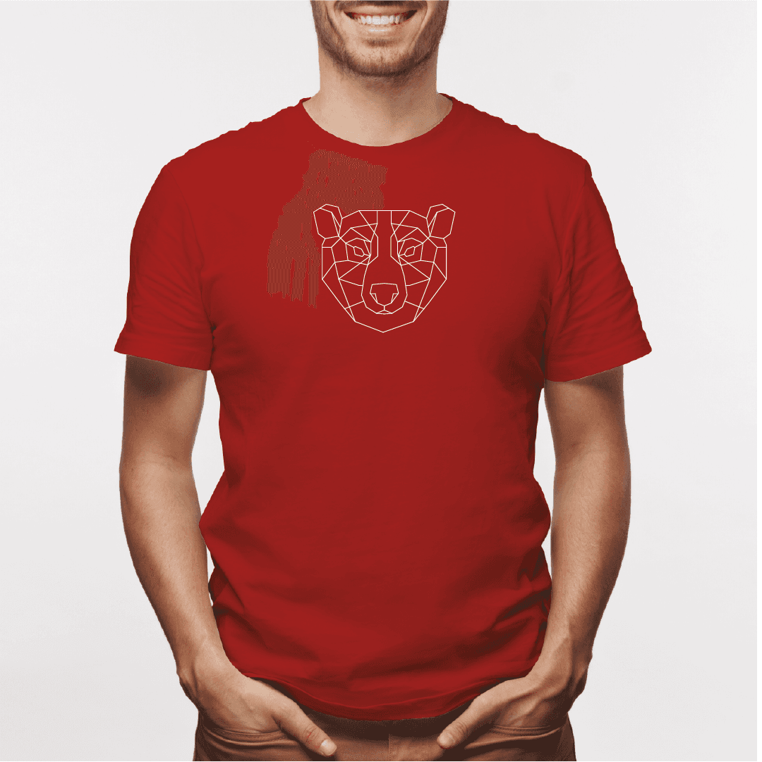 Camisa estampada para hombre  tipo T-shirt Oso Pardo Geométrico — foto 2