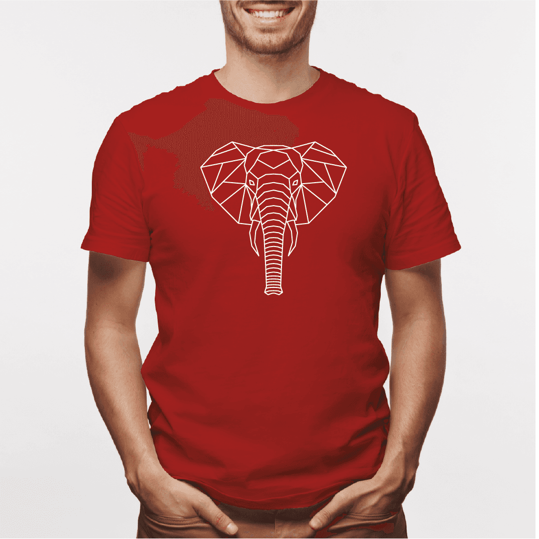 Camisa estampada para hombre tipo T-shirt Elefante Geometrico 3 — foto 1